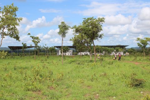 Chipakata 01