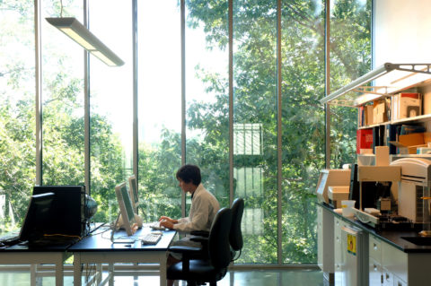 The New York Botanical Garden Pfizer Plant Research Ennead