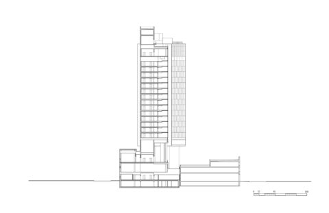 the standard high line