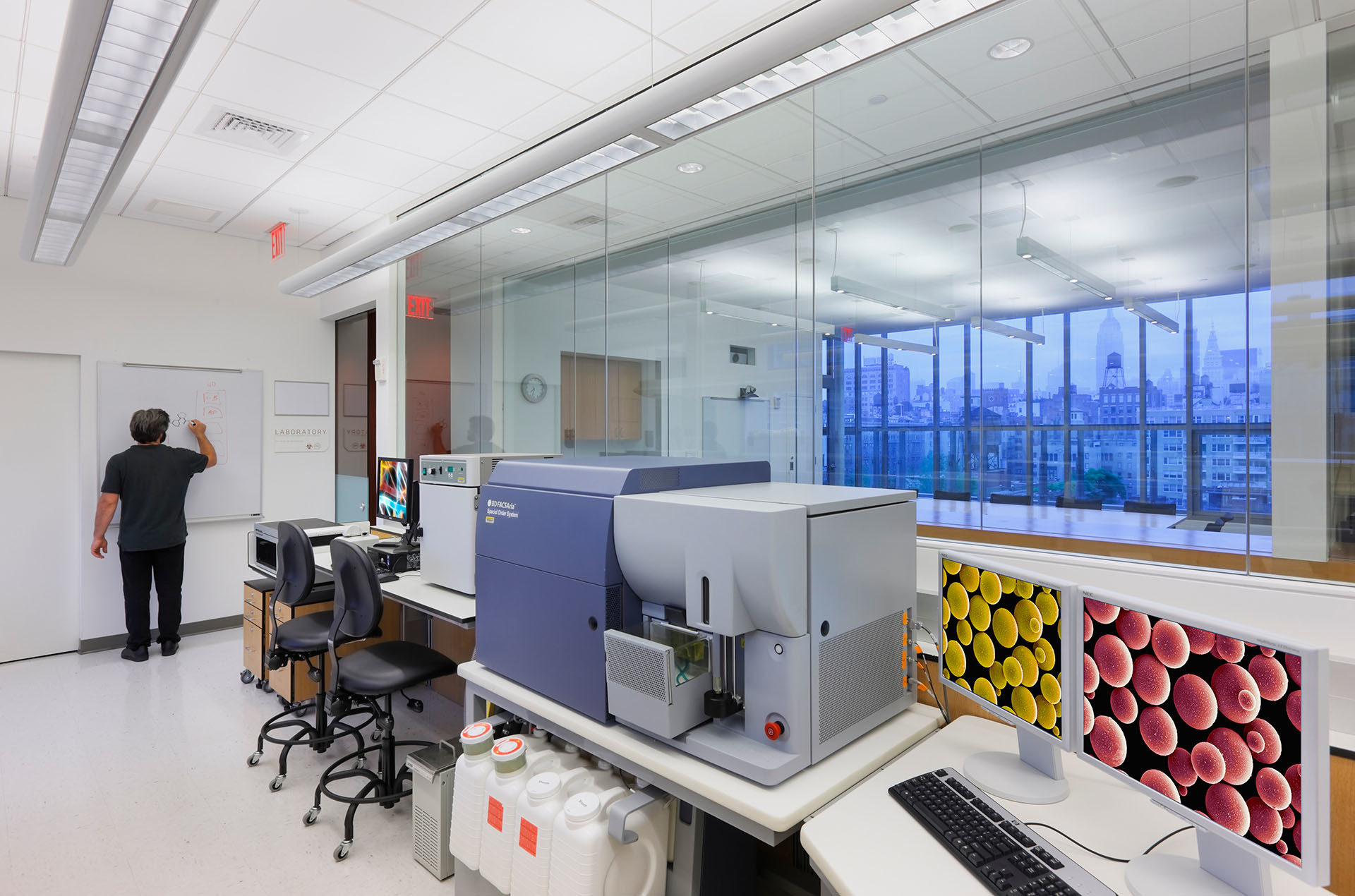 New York University, Center for Genomics and Systems Biology ennead