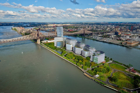 1102 Stanford Nyc 2